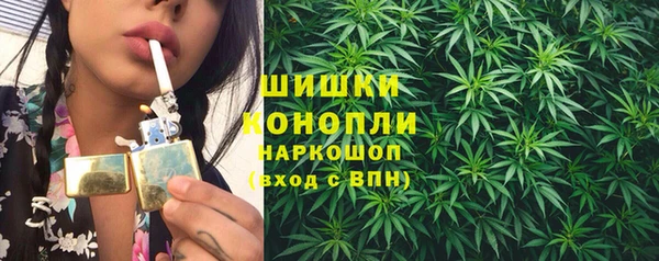 прущие крисы Корсаков