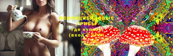 прущие крисы Корсаков