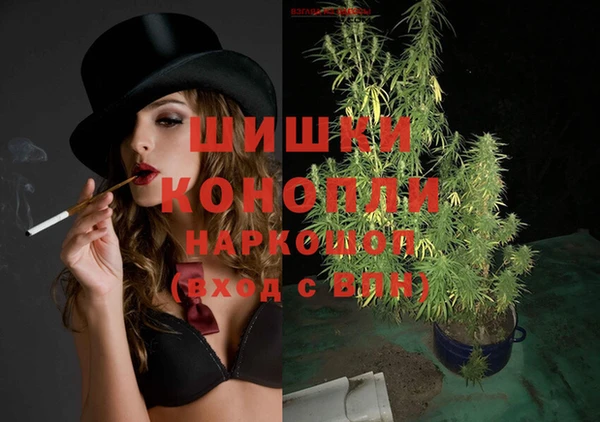 прущие крисы Корсаков