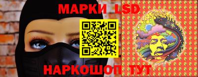 стафф Дубна