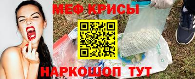 стафф Дубна