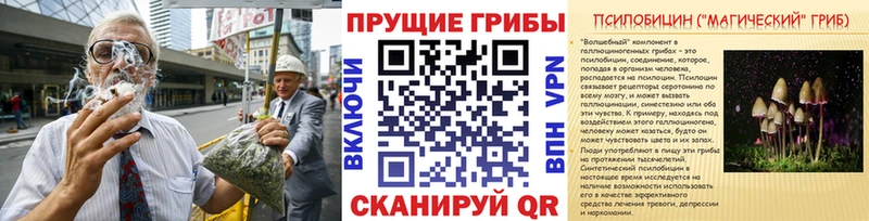 KRAKEN tor  Минеральные Воды  Псилоцибиновые грибы Psilocybine cubensis 