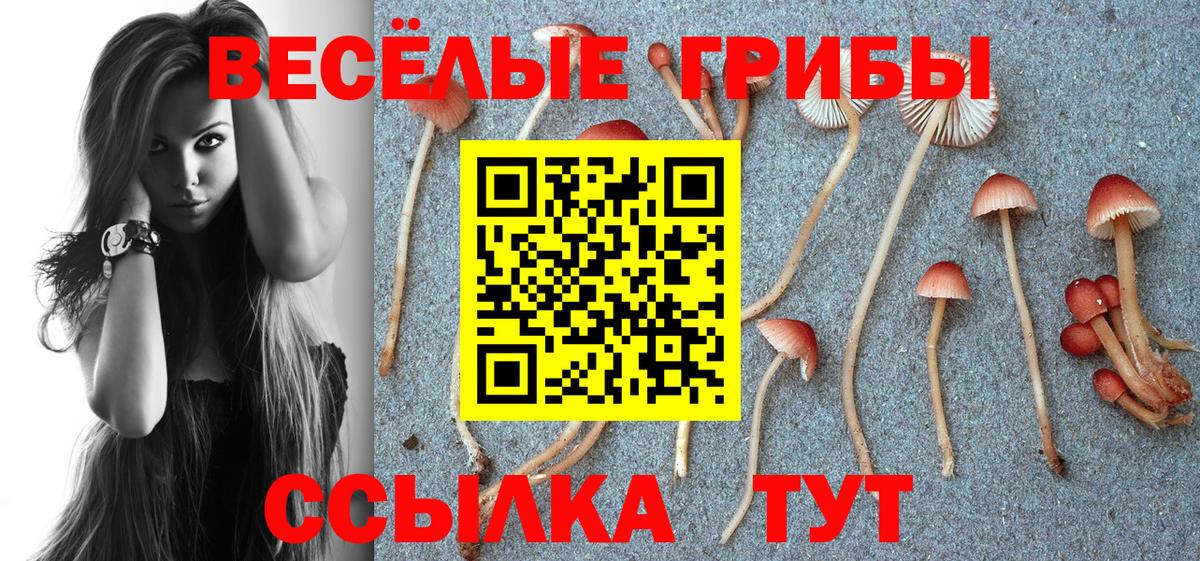 Галлюциногенные грибы ЛСД Минеральные Воды