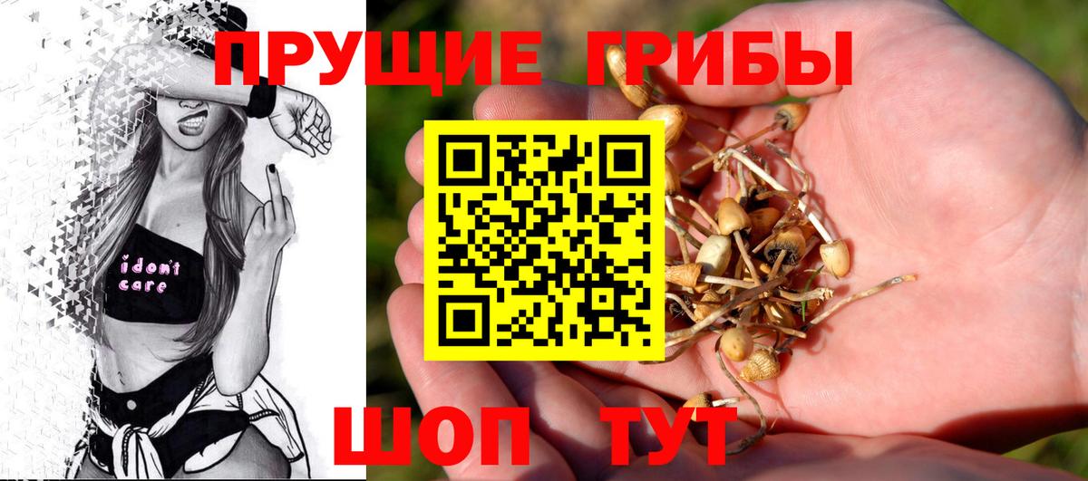 Псилоцибиновые грибы Magic Shrooms  продажа наркотиков  Минеральные Воды  Вход с VPN 